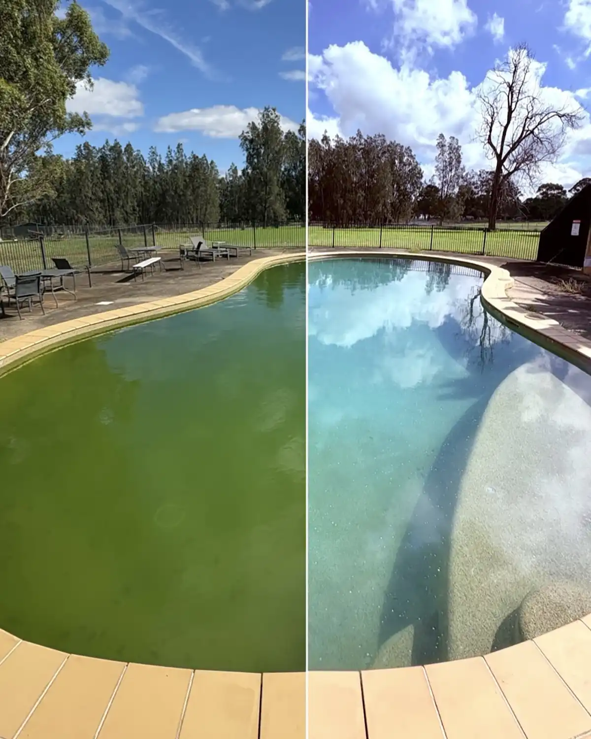 Stellar Pool Management - South-west Sydney Green Pool Recoveries